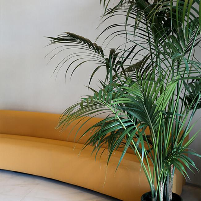 Elitis House Home Lobby